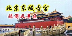 舌头伸进蜜道中国北京-东城古宫旅游风景区